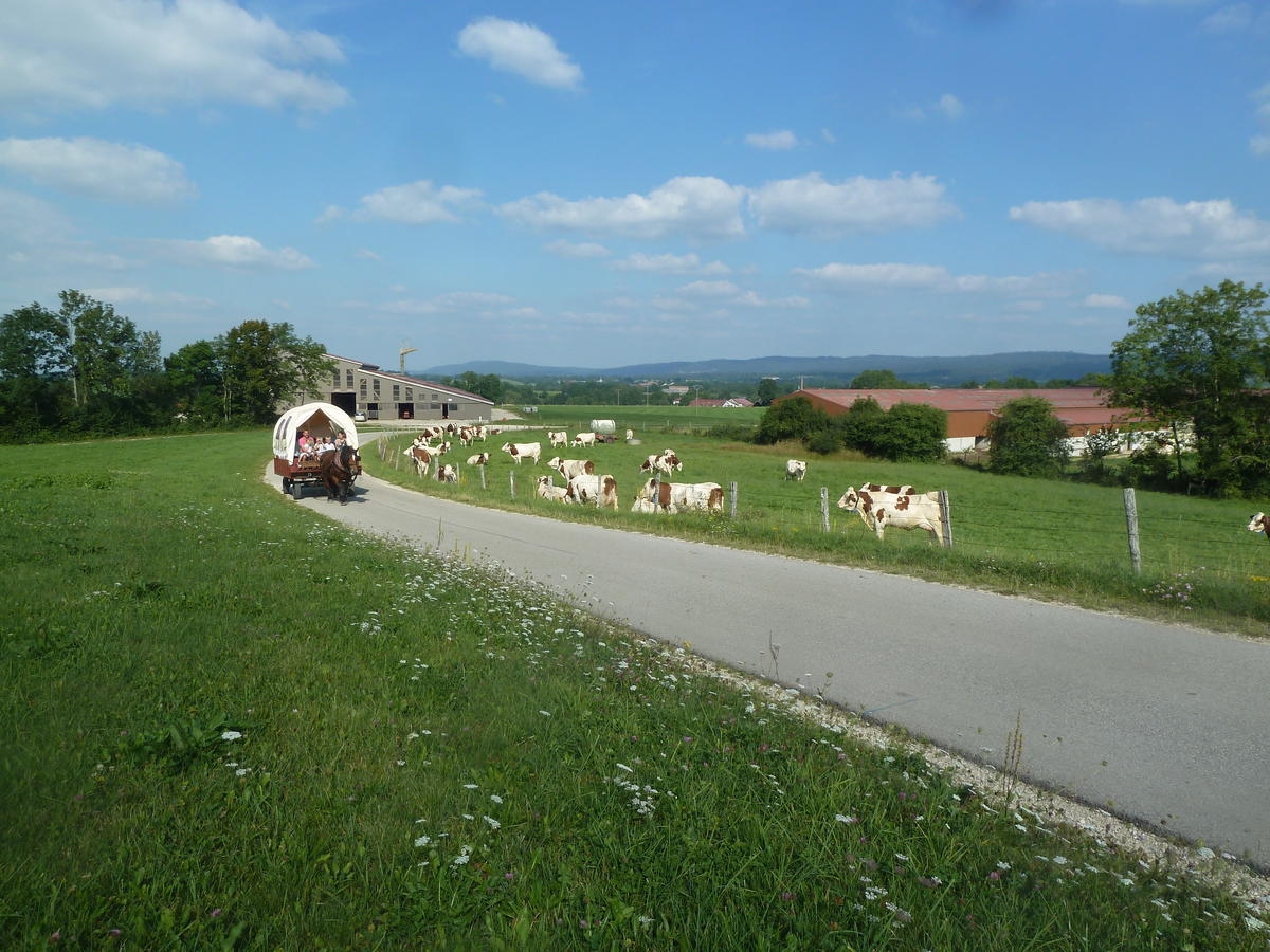 Auberge Le Sillet Longcochon Esterno foto