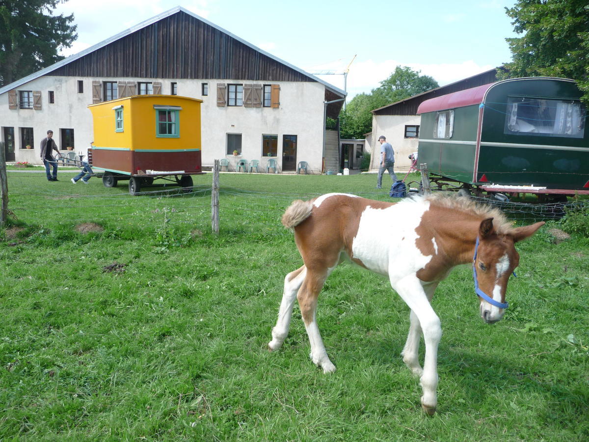 Auberge Le Sillet Longcochon Esterno foto
